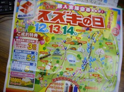 IMGP0580_R