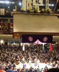 DVC00004.JPG