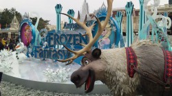 DVC00006.JPG